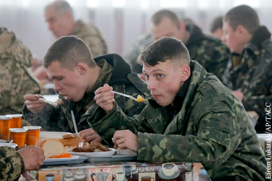 Советник Порошенко показал тараканов и червяков в еде украинских солдат