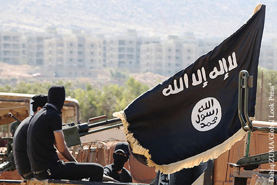 СМИ: «Исламское государство» опубликовало видео с угрозами в адрес России