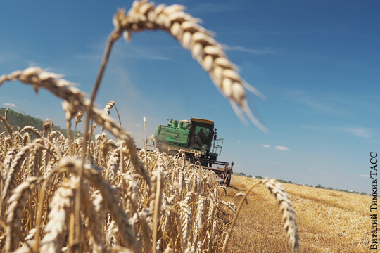 Медведев: Урожай зерна по итогам года может быть выдающимся