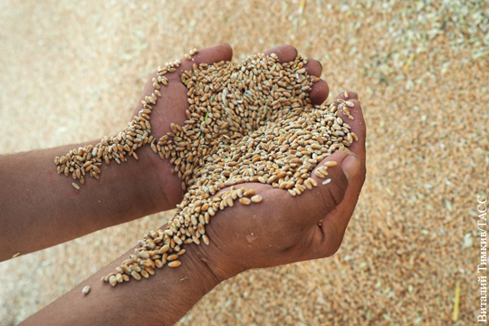 Кабмин решил обнулить экспортную пошлину на пшеницу
