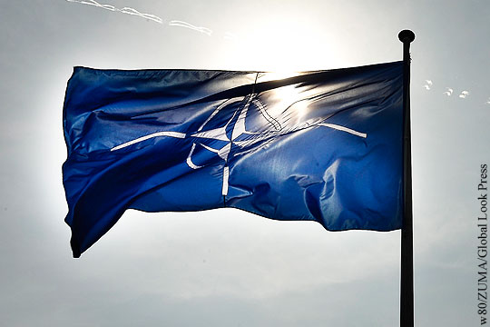 Forbes: Грузии и Украине не место в НАТО