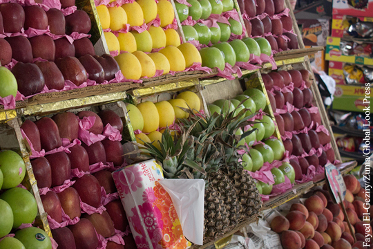 Россия решила снять запрет на импорт ряда овощей и фруктов из Египта