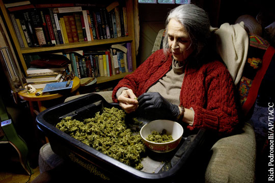 Избиратели Калифорнии одобрили использование марихуаны в «развлекательных» целях