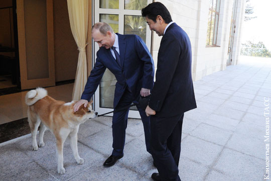 Японии пришлось отказаться от планов подарить Путину собаку