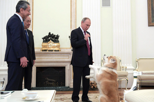 Путин показал японским журналистам «строгую собаку» Юмэ