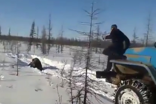 Найдены нарочно задавившие медведя «Уралами» в Якутии