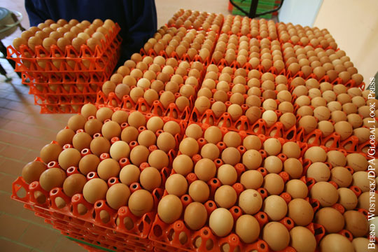 Торгпредство России в Литве забросали яйцами