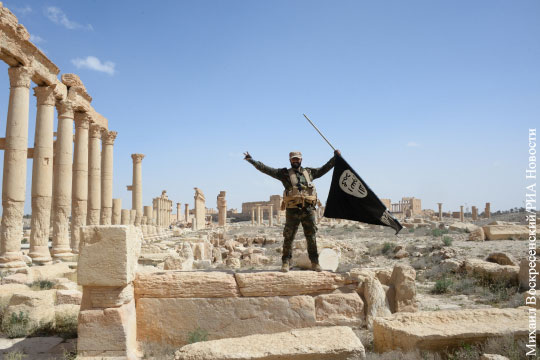Сирийские войска вряд ли успеют спасти Пальмиру