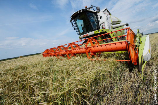 Сельское хозяйство России почти достигло своего потолка