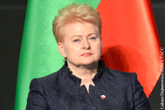 Президент Литвы заподозрила Россию в подготовке к войне с Западом