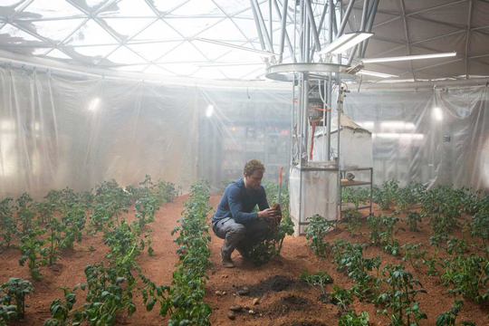 Ученые вырастили картофель в марсианских условиях