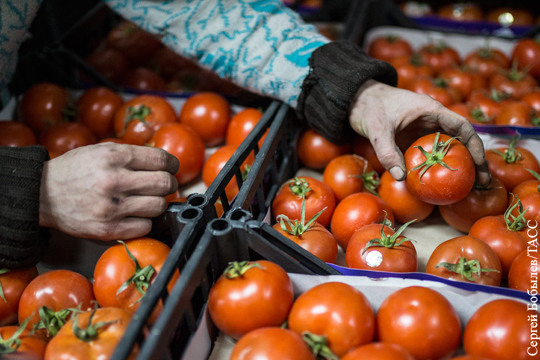 Азербайджанские помидоры застряли на российской таможне