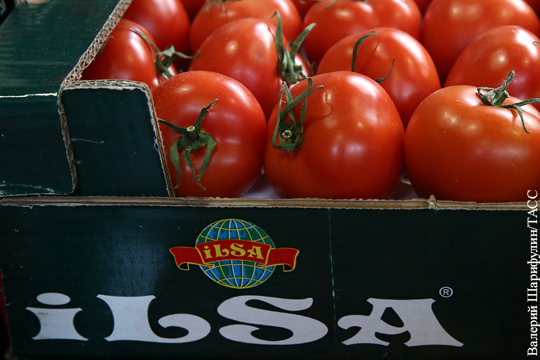 Минсельхоз: Россия не собирается открывать рынок томатов для Турции