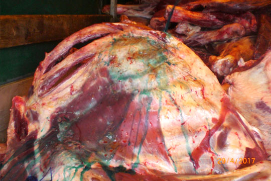 В России стали окрашивать зеленкой контрабандную говядину из Белоруссии