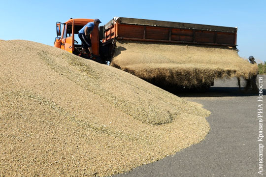 Турция сняла ограничения на поставки пшеницы из России