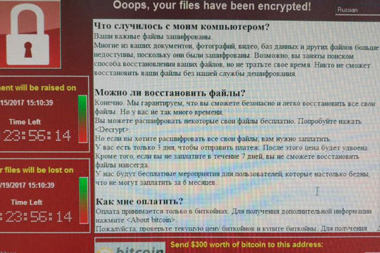 Компьютеры МВД России подверглись масштабной кибератаке