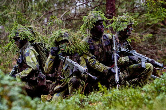 Шведская «репетиция войны с Россией» скорее напоминает спектакль