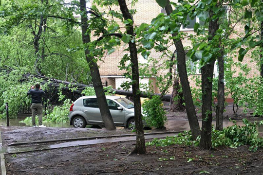 В результате падения деревьев в Москве погибли два человека