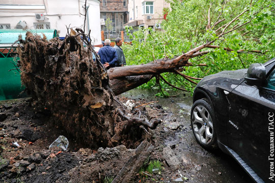 Количество жертв урагана в Москве увеличилось до шести человек