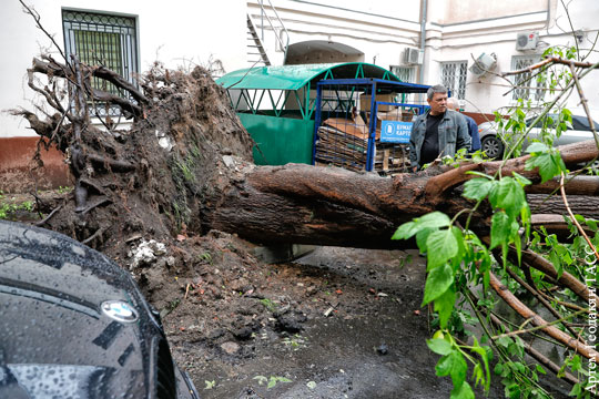 Число жертв урагана в Москве возросло до восьми