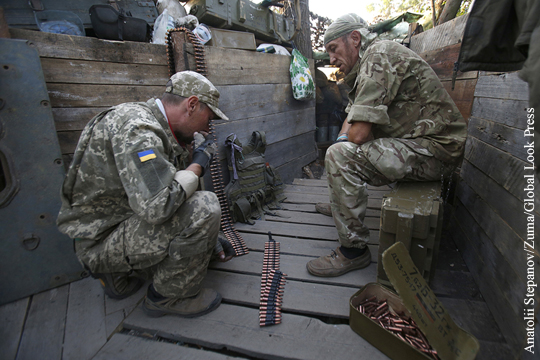 В ВСУ рассказали об отношении в украинской армии к офицерам «как к собакам»