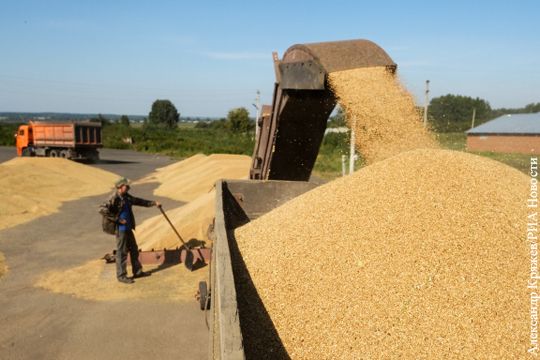 Рекордный экспорт зерна не принесет России рекордного дохода