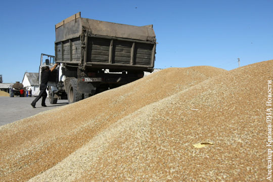 Россия увеличит поставки пшеницы в Китай