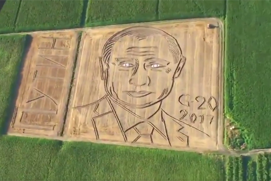 Итальянский фермер «нарисовал» трактором портрет Путина на 130-метровом поле
