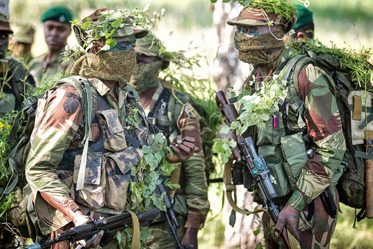 Зимбабвийские разведчики заблудились в сибирском лесу