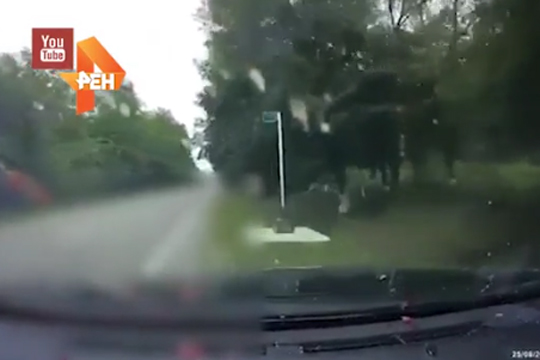 Опубликовано видео убийства чеченского депутата Асхабова