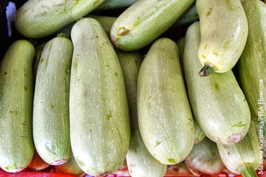 Россия разрешила ввоз ряда овощей из Турции