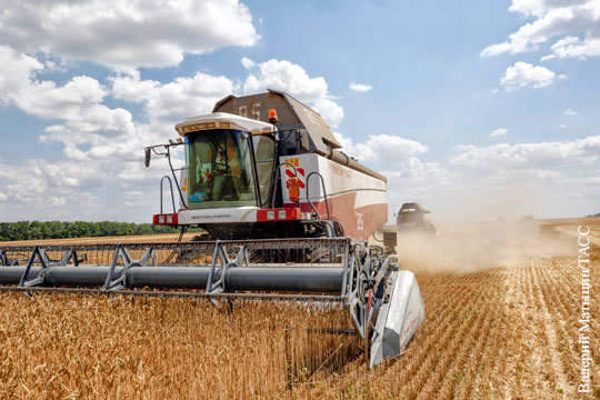 Аналитики: Россия побьет рекорд СССР по урожаю зерна