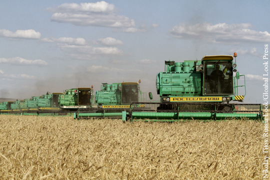 Путин: Россия ожидает рекордного урожая зерна за всю историю