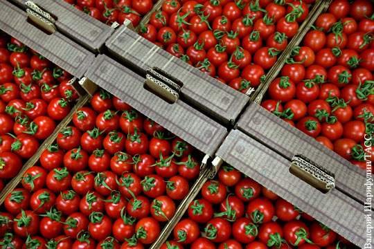 Запрещен реэкспорт томатов из Азии и Африки через Белоруссию