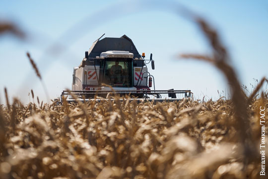 Путин призвал предпринять меры в связи с удешевлением зерна из-за рекордного урожая