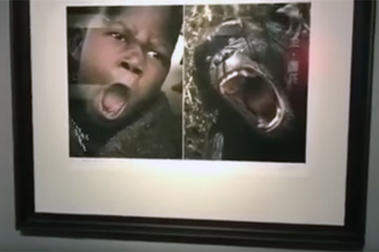 Китайский музей раскритиковали за фотовыставку зверей и африканцев со схожими эмоциями