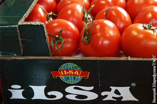 Первая фура с турецкими помидорами прибыла в Россию