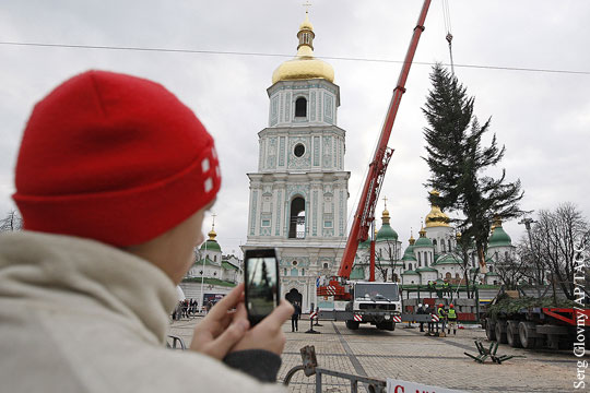В Сети высмеяли облысевшую новогоднюю елку в Киеве