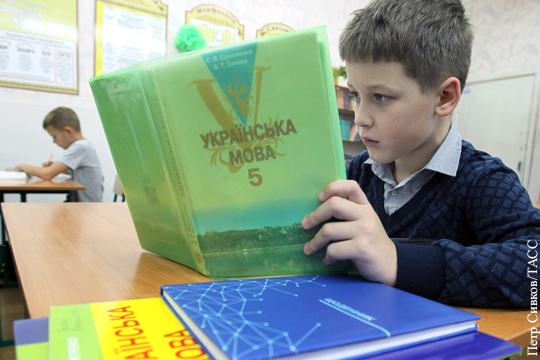 Киев описал модель перевода образования в русскоязычных общинах на украинский