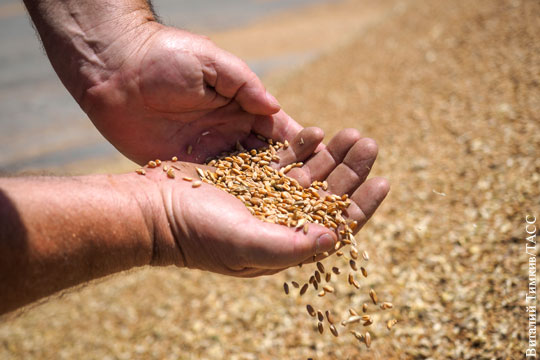 Бразилия разрешила импортировать российскую пшеницу