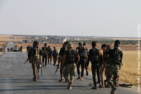 Минобороны сообщило о создании США «Новой сирийской армии»