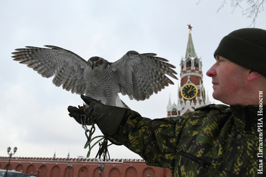 Ястребы начали защищать Кремль от ворон