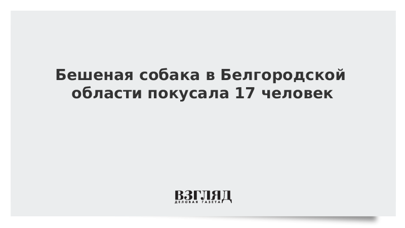 Я приручила бешеного