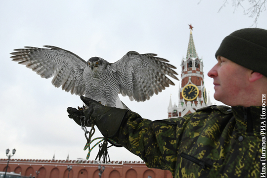 Кремлевских ястребов предложено использовать для борьбы с дронами