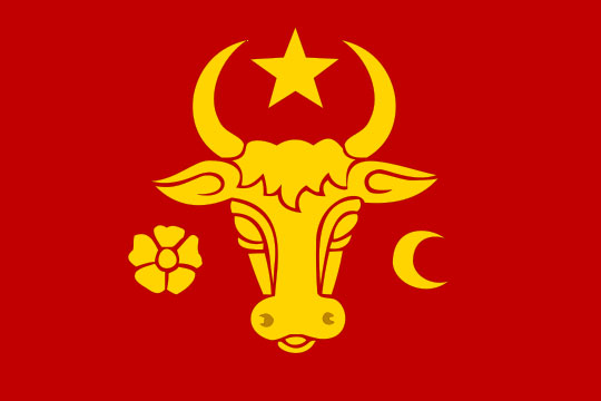 Додон предложил сделать госсимволом Молдавии флаг союзника Дракулы