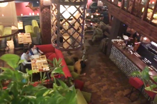 Саакашвили задержали в киевском ресторане