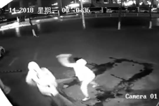 Опубликовано видео с грабителем, разбившим вместо витрины голову подельника