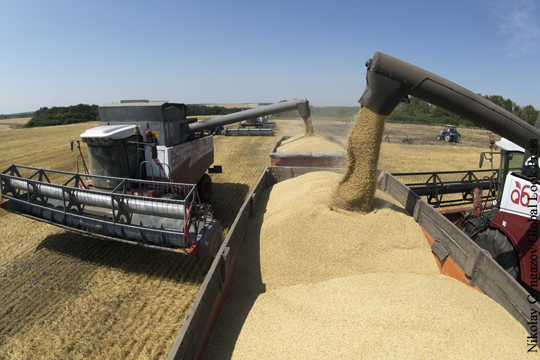 Китай отменил запрет на ввоз российской пшеницы