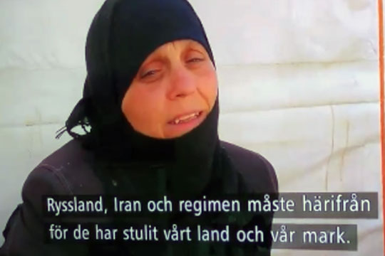 Шведский телеканал заменил слова сирийки о США на критику России