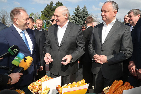 Лукашенко и Додон вместе посеяли кукурузу